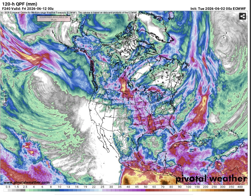 Precipitation amounts forecast for the five-day period ending Thursday, June 11th, 2026.